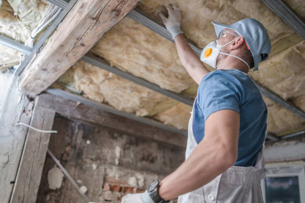 Best Insulation Maintenance and Repair in White Oak, OH